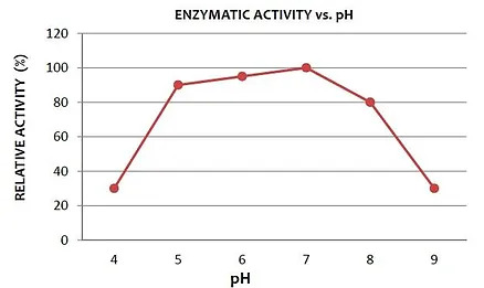 Transglutaminaz Nedir?