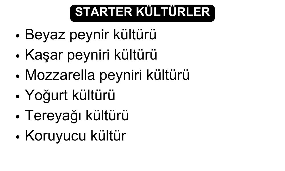 Starter Kültürler