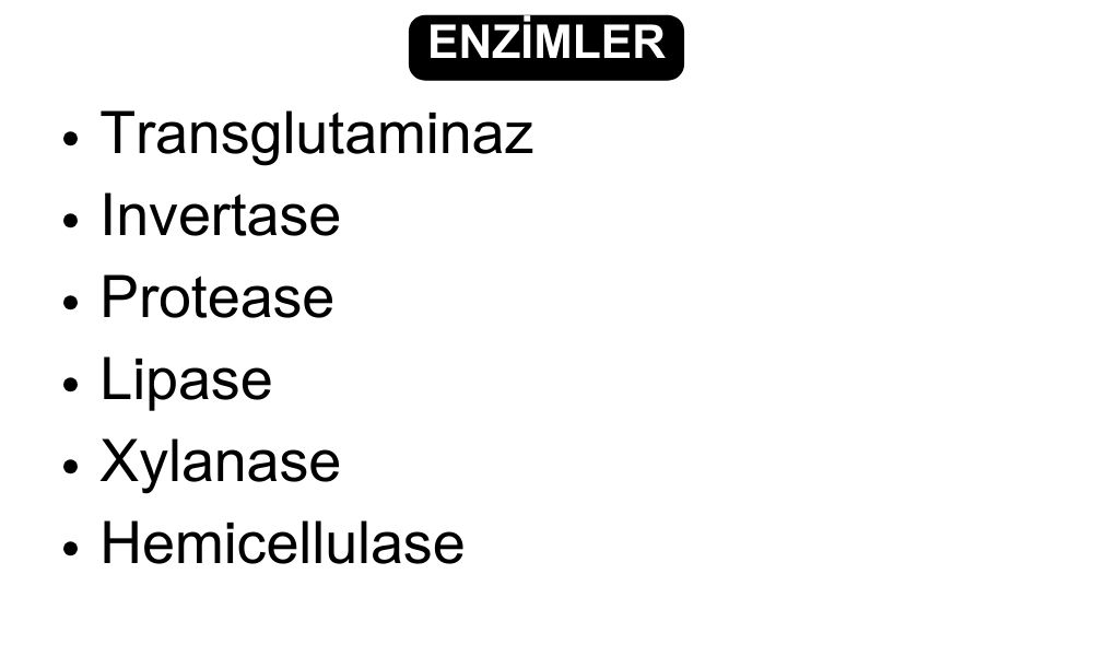 Enzimler